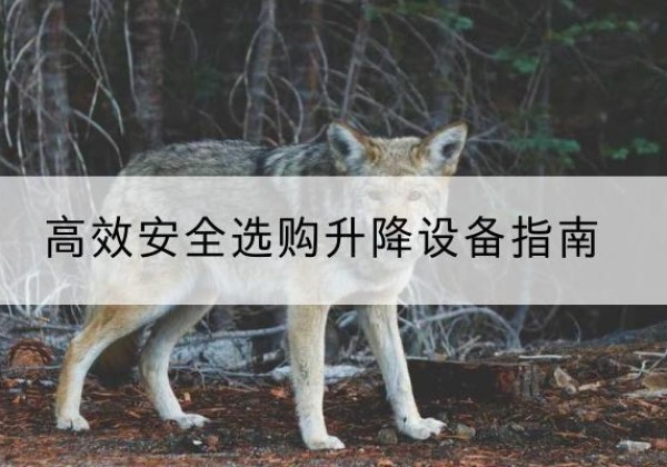 黔江区升降货梯厂家推荐-*安全选购升降设备指南
