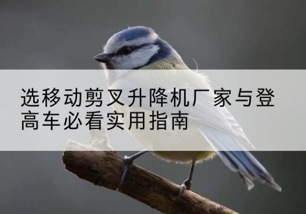 黔江区电动升降机厂家-选移动剪叉升降机厂家与登高车必看实用指南